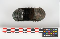 Foto von Bronzemelonenarmreif (NHMW-PRAE-026165)